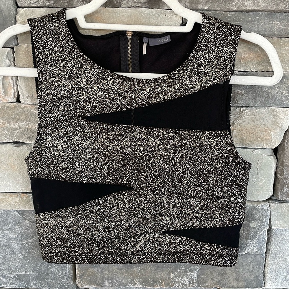 Sparkle and Fade Shiny Mesh Top